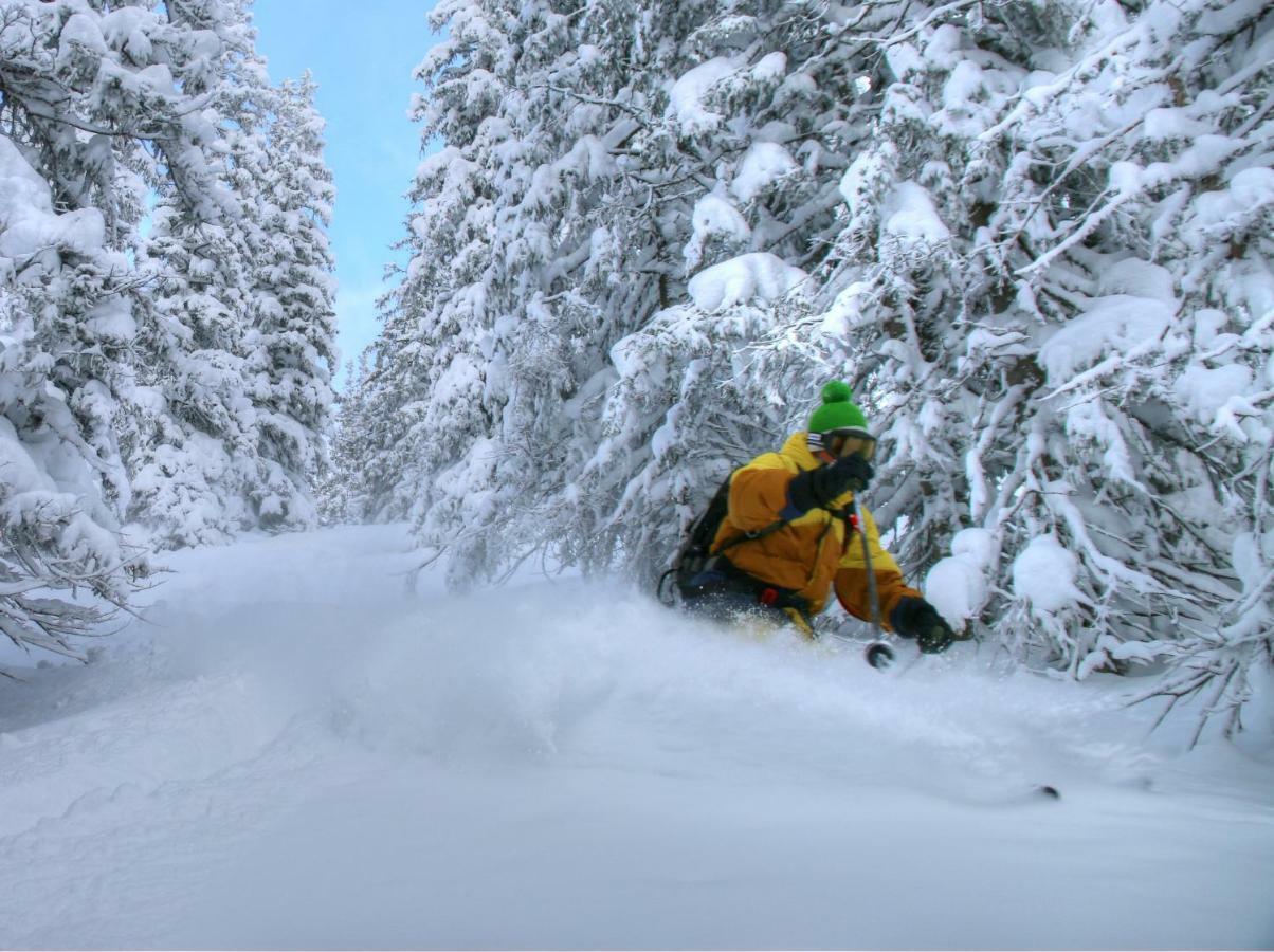 Studio "Children Of Powdersnow" Muhlbach Am Hochkonig Bagian luar foto
